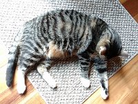 IMG 20160808 135126840