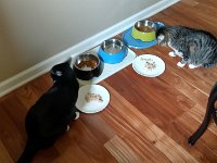 IMG 20160824 170130585 HDR