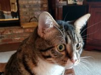 IMG 20161208 080950403 HDR
