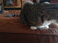 IMG 20161208 081010743