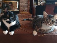 IMG 20161208 081155677