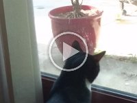 Jack in SLOW MOTION 20160618 075845