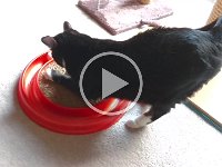 VID 20160808 135133620 HDR