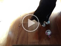 VID 20170225 101648460