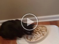 VID 20170318 161407216 HDR