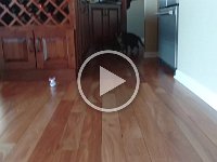 VID 20170319 084654068 HDR