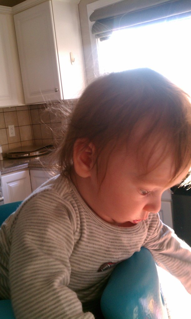 IMAG0456