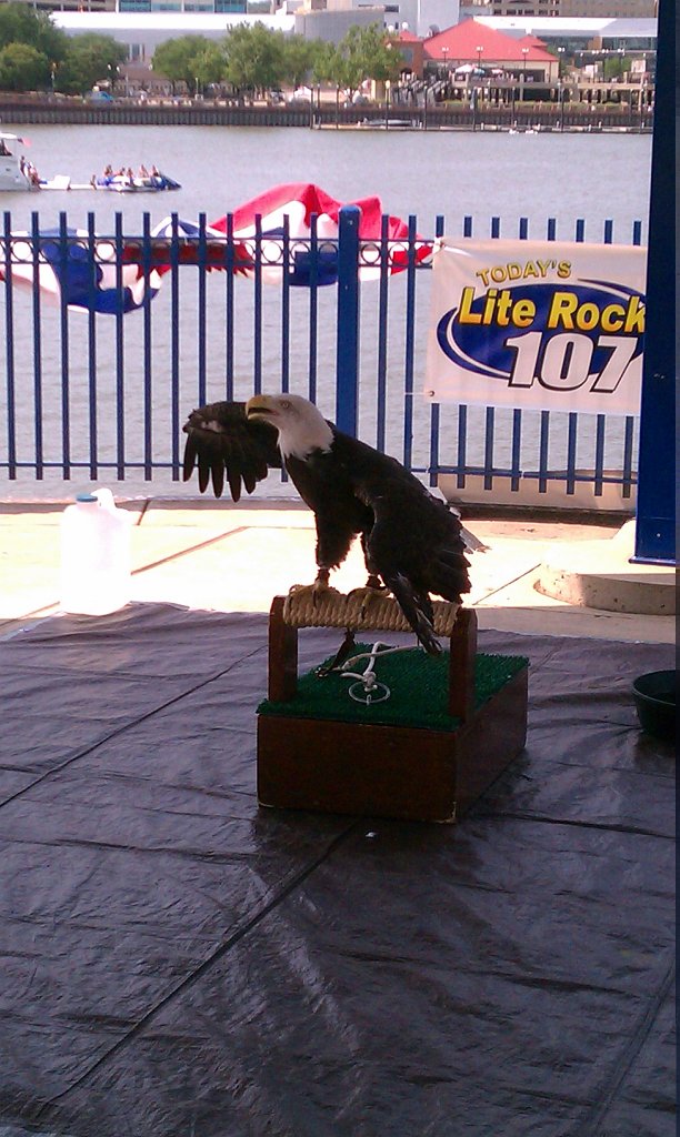 IMAG0965