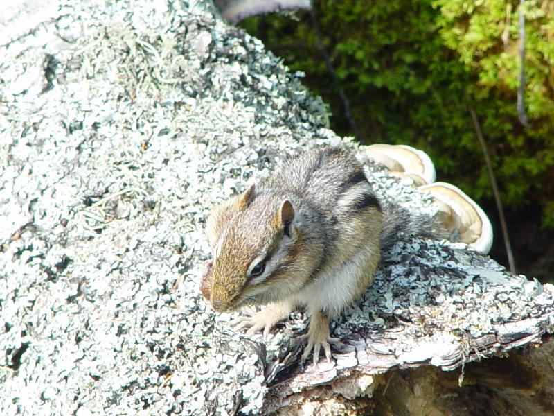 DSC00328 