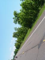 DSC00186 