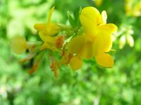 DSC00331 