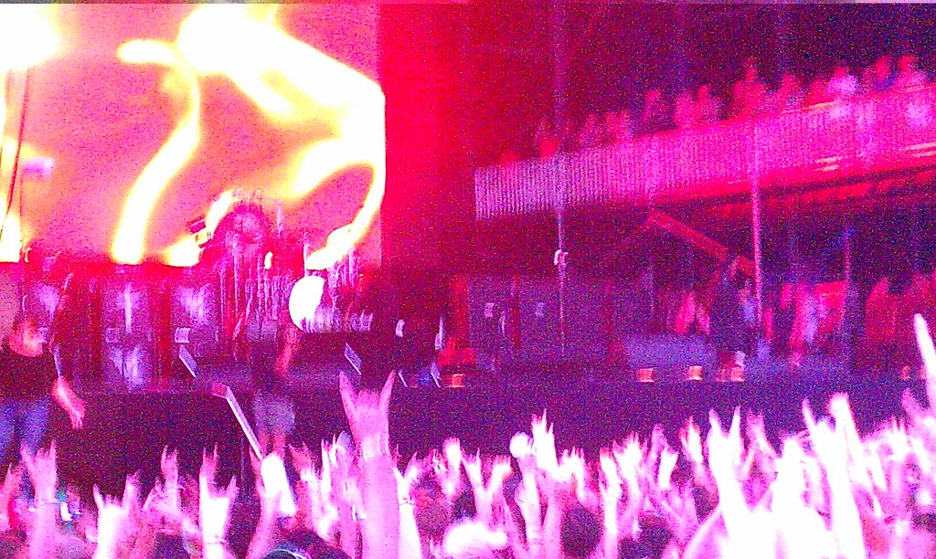 IMAG1117