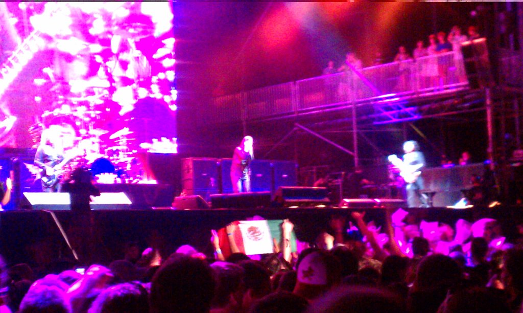 IMAG1133