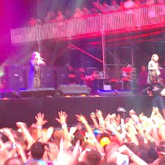 IMAG1113