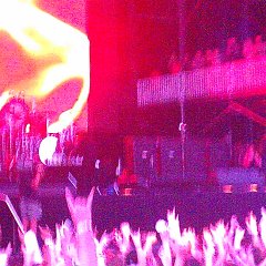 IMAG1117