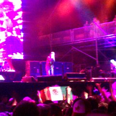IMAG1133
