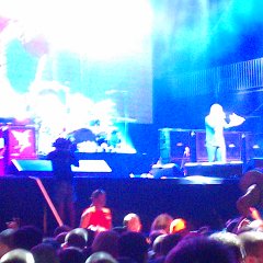 IMAG1137