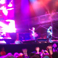 IMAG1139