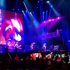 IMAG1147