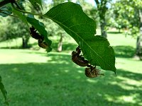 IMG 20160806 132622094 HDR