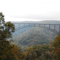 DSC_4667