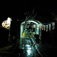 DSC_4907