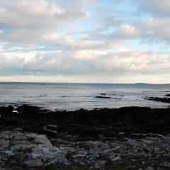 DSC_5002