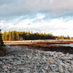 DSC_5003
