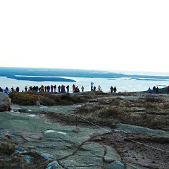 DSC_5023
