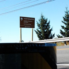 DSC_5039