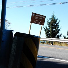 DSC_5045