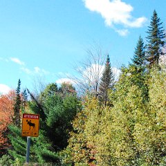 DSC_5062