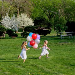 IMG_0270