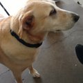 IMG_20170520_152541675