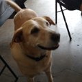 IMG_20170520_152548182