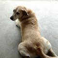 IMG_20170520_153858779