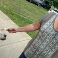 IMG_20170520_155854493