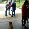 IMG_20170520_163328739