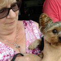 IMG_20170520_163559883