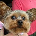 IMG_20170520_163605047