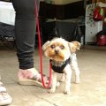 IMG_20170520_163712875