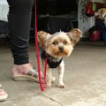 IMG_20170520_163716084