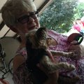 IMG_20170520_164728931