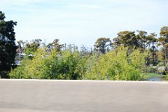DSC_4358