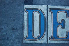 DSC_4677