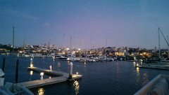 IMAG2445
