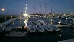 IMAG2446