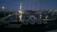 IMAG2447