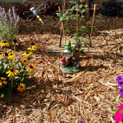 IMG_20170715_092429746_HDR