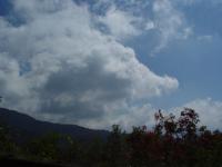 DSC08803 